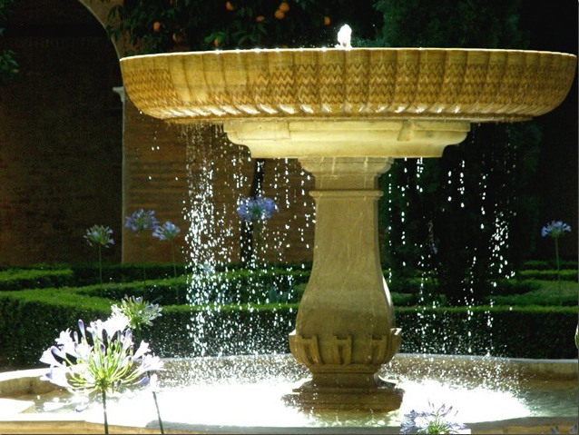 Oasis image
